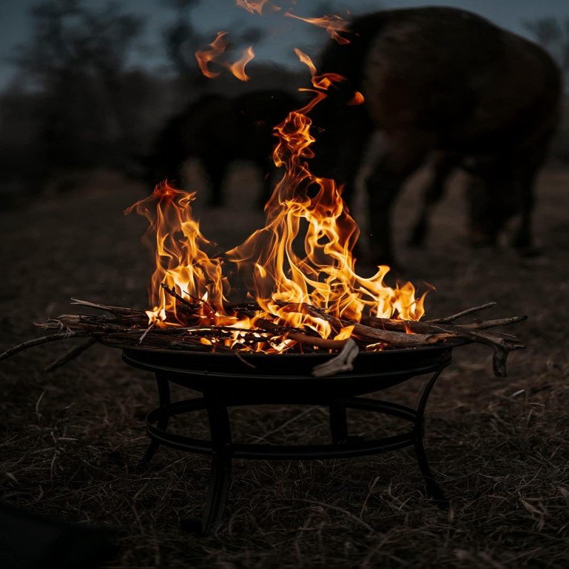 22 in Wood Burning Firepit